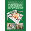 Fishing Samurusha Y051 SOLO Fireside Grilled Fish, Steak
