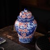 SILINE Porcelain Airtight Canister 45 Oz/1350ml, Blue White with Red
