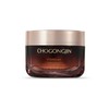 Missha Chogongjin Youngan Jin Sleeping Cream 100ml / 미샤 초공진 영안 진 수면크림 100ml
