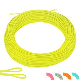 Maxcatch DT Fly Line Double Taper Floating: 1-8F, 100' DT Fly Fishing Line (Yellow with Loop), DT-2F)