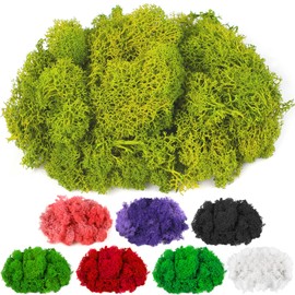 CCINEE Moss Preserved, 4 OZ Fake Green Reindeer Moss for Potted Plants for Craft Arts Floral Wall Decor Wedding Centerpieces Fairy Garden Artificial Terrariums Decoration for Christmas(Chartreuse)