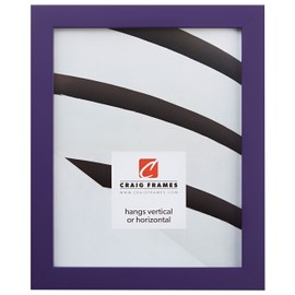 Craig Frames Confetti, Modern Purple Picture Frame, 12 x 18 Inch