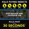 Raid Defend Flying Insect Killer Spray 20 oz Outdoor Fresh