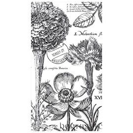 Michel Design Works 15-Count 3-Ply Paper Hostess Napkins, Flower Noir