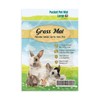 SunGrow Rabbit, Leopard Gecko & Guinea Pig Grass Chew Mat,