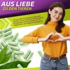 Vita2You Organic Barley Grass Capsules - 360 Capsules - 3000