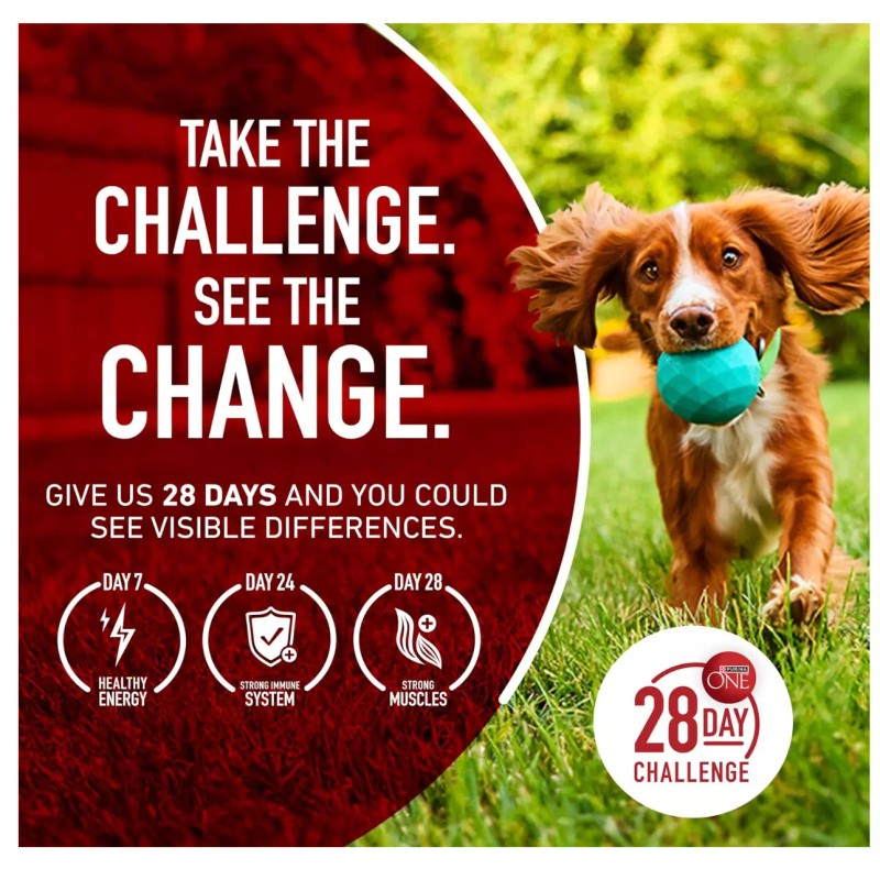 Undisclosed Purina ONE Chicken and Rice Formula Dry Dog Food