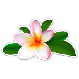 Plumeria Pretty Pink Flower - 8" Vinyl Sticker - for Car Laptop I-Pad - Waterproof Decal