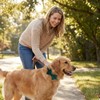 Collar para perro con pajarita, material de terciopelo suave con