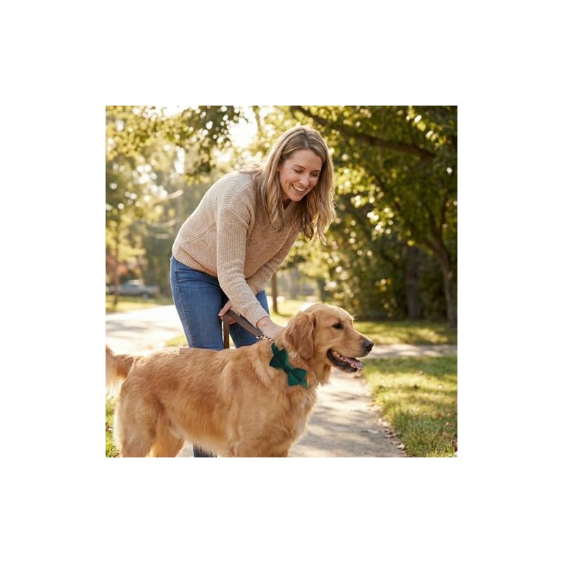 Collar para perro con pajarita, material de terciopelo suave con