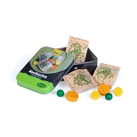Erzi 17185 Wooden Mouth Bags in a Tin, Shop Items for Children, Role Play