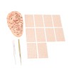 600Pcs Acupressure Ear Beads Massage Acupoint Pressure Stimulation Paste Ear
