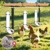 3 Pack Automatic Chicken Feeder No Waste, PVC Pipe Chicken