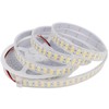 LEDENET High Bright 5050 900LEDs Double Row 6500K Cold White