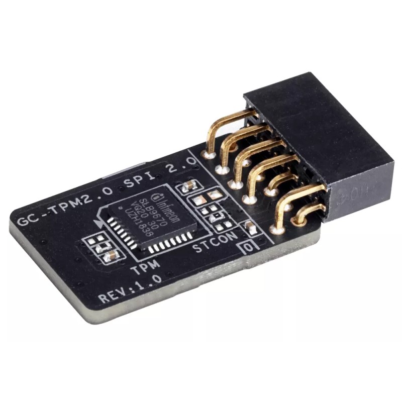 GIGABYTE GC-TPM2.0 SPI 2.0 TPM Module (12 Pin 12-1) SPI