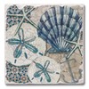 Thirstystone Tide Pool Shells 4-Pack Tumbled Tile Stone Coasters with