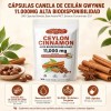 GWYNNE - Ceylon Cinnamon 300 Capsules 20:1 con Aceite MCT,alta