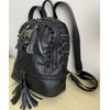 AlwaySky Women's Skull Backpack Rivet Fogged Mode Daypack Gothic Purse