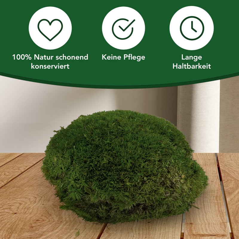 sphagnum-shop.com Bollenmoos preserved for moss pictures, decorative moss, premium quality,