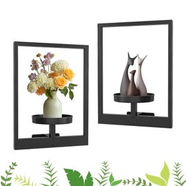 ROCKETMINT Metal Plant Frame, Picture Frame Wall Holder, Plant Shelf, Modern Style Display Stand for Living Room (2 pcs)