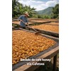 CAFE VIA CAFETOSS ESPRESSO Premium Altura GRANO Altas Montañas de