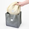 Iwasaki Industry LF-546 GR Lunch Bag, Tote Bag, Cold Storage