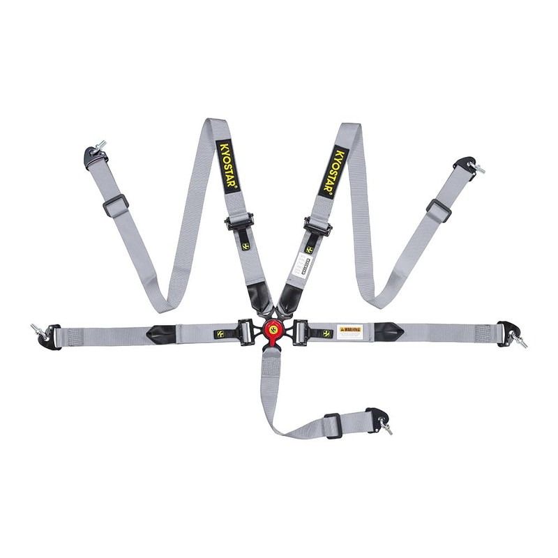 5 Point Harness Seat Belt with 2'' Ultra Soft Heavy