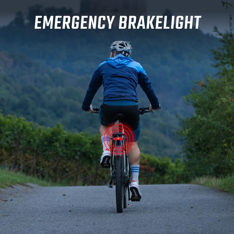 Sigma EOX Rack Brake