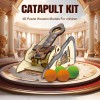 Livevie3D Wooden Catapult Kit STEM Toy for Kids, Includes Panels,
