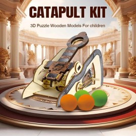 Livevie3D Wooden Catapult Kit STEM Toy for Kids, Includes Panels, Elastic Bands