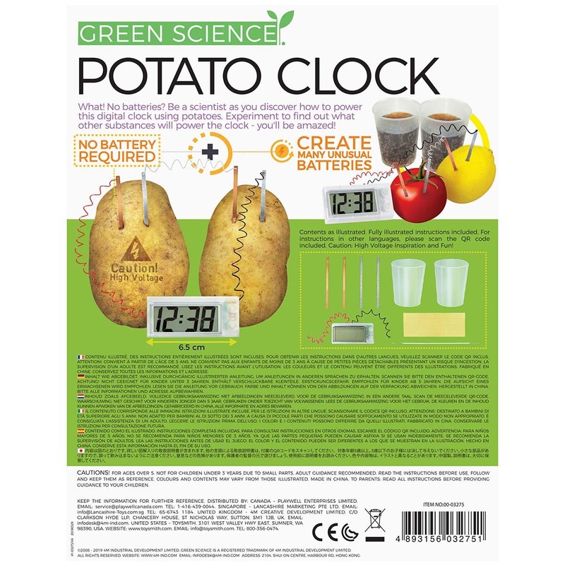 4M Green Science Potato Clock, Science and Activity Kit, Suitable