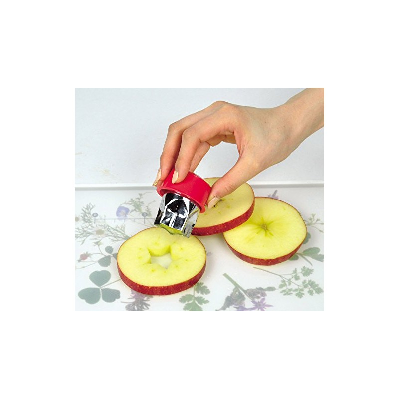 Pearl Metal Vegeticura C-9115 Fun Fruit Cutter Set, Made in