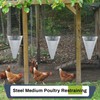 Mumufy 4 Pcs Medium Chicken Cone, Galvanized Steel Poultry Restraining