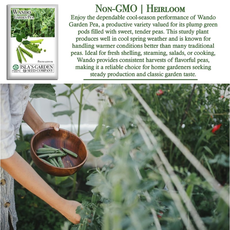 Wando Garden Pea Seeds (Pisum sativum) – 50+ Heirloom Non-GMO
