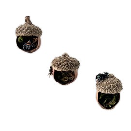 Jumping Spider Hide,Made from Real Acorns, a Jumping Spider Enclosure Accessory, Magnetic Bark Jumping Spider Habitat, Handmade Jumping Spider Platform, Decorative Accessory. (Cave)