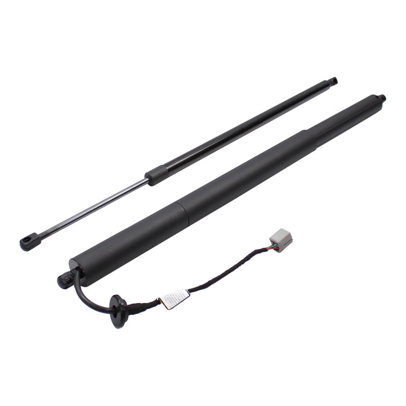 Roneeson 2Pcs Rear Left and Right Tailgate Lift Support for