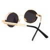 FEISEDY Retro Gothic Steampunk Sunglasses Round Metal Frame Punk Circle