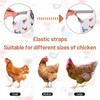 8 Pcs Chicken Saddle for Hens Wing Back Protector Elastic