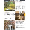 Camping Moon (キャンピングムーン) Camp Kettle, Coffee Pot, Mini Kettle, Kettle,