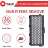 Compatible with Miele active air clean 50 filter | C3