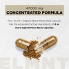 40x Strength Organic Black Maca Root with Ashwagandha – High