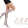 Women Sheer Knee High Stockings 20 Denier (3PCS One Size,