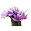 10 Saffron Sativus Crocus Corms - Instructions Will be Included