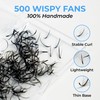 TEGAN LASH 500 Wispy Premade Fans Eyelash Extensions, Handmade Volume
