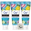 Aura Toume Aroma Flavor Collection Paste, Sparkling Citrus Mint, 4.6
