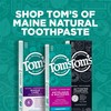 Tom's of Maine Fluoride-Free Antiplaque & Whitening Toothpaste, Travel Size,