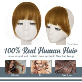 Clip in Bangs, BARSDAR 100% Human Hair Bangs Extensions French Bangs Neat Bangs with Temples Clip on Fringe Bangs Real Hair for Women Natural Color Washable/Dyeable(French-Golden Ginger Blonde)