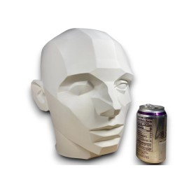 John Asaro Style Planar Head,SIZE 12" 30.48cm, Planar Bust, Learn the Planes