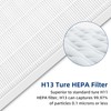 APPLIANCEMATES HSP001 Filter Replacements for Hathaspace Air Purifier HSP001, 4-in-2