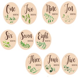 Monthly Baby Milestone Cards Wooden Milestone Discs, 10Pcs Double Sided Wooden Baby Monthly Milestone Cards, Baby Monthly Milestone Cards Sign Wooden Monthly Milestone Cards Baby Milestone Cards Discs